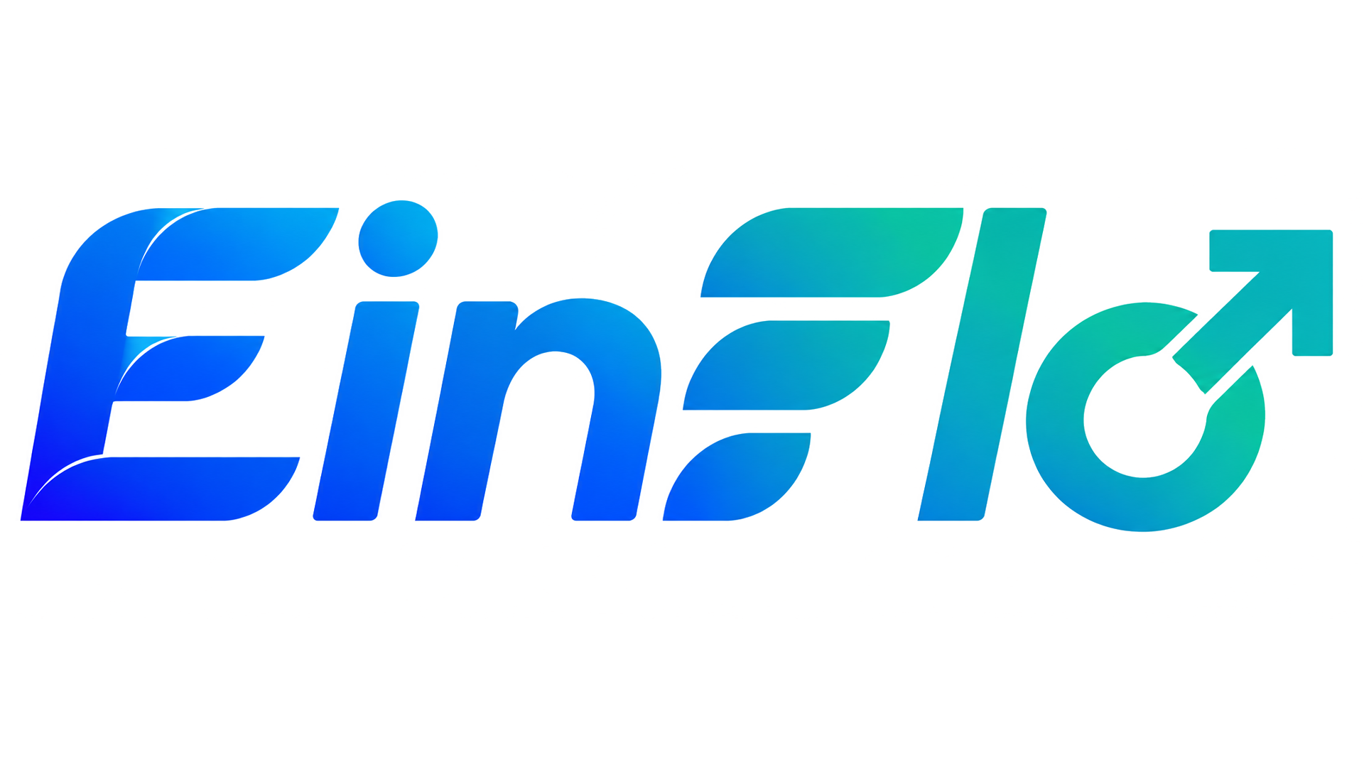 EinFlo Logo